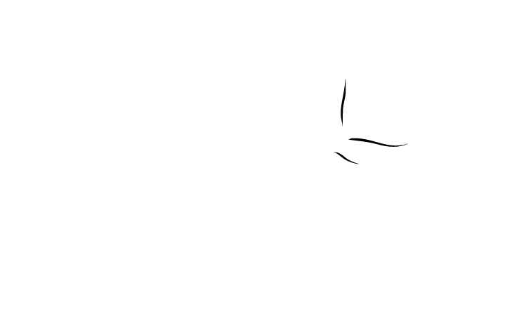 logo canadian parks council white